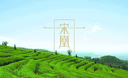 宋凰生態(tài)茶業(yè)有限公司